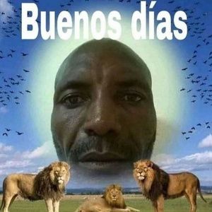 Meet your Posher, Cora